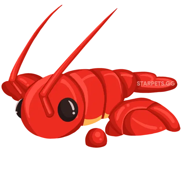Lobster — standard appearance