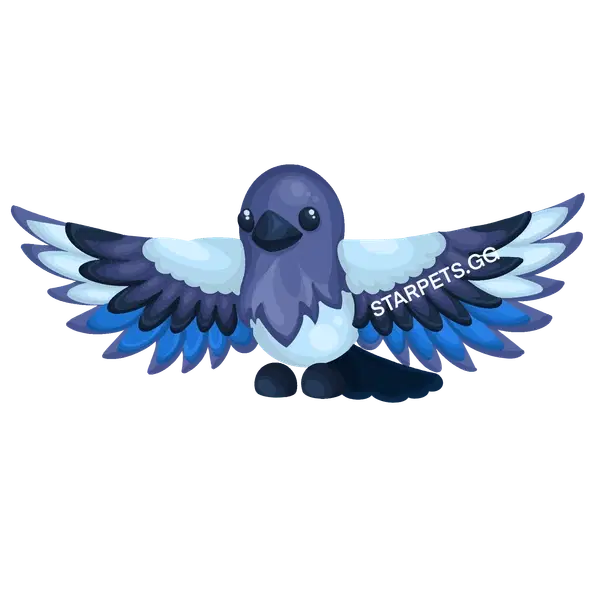 Magpie — standard appearance
