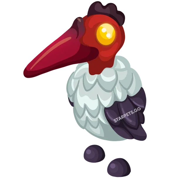 Marabou Stork — standard appearance