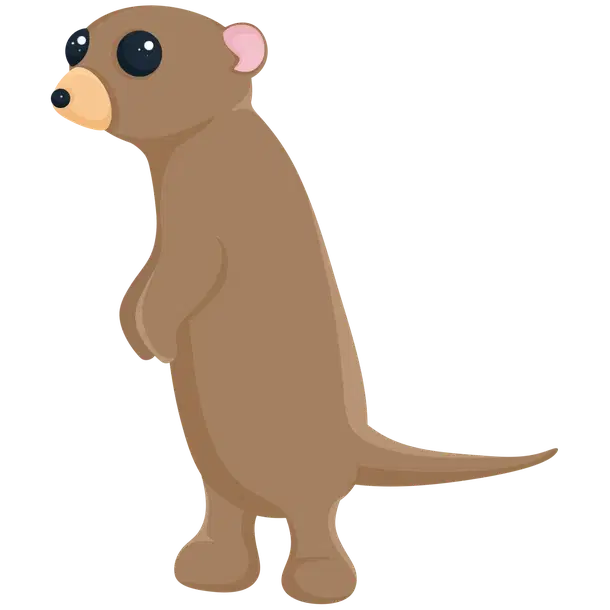 Standard appearance; Neon/Mega appearance is not shown Meerkat — standard appearance