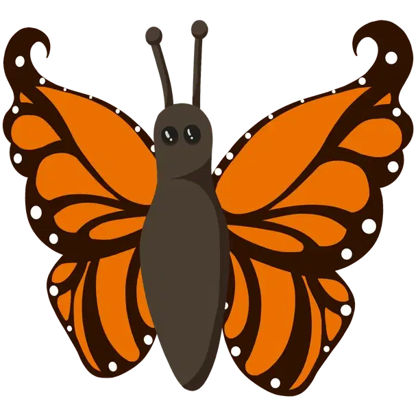 Orange Butterfly — standard appearance