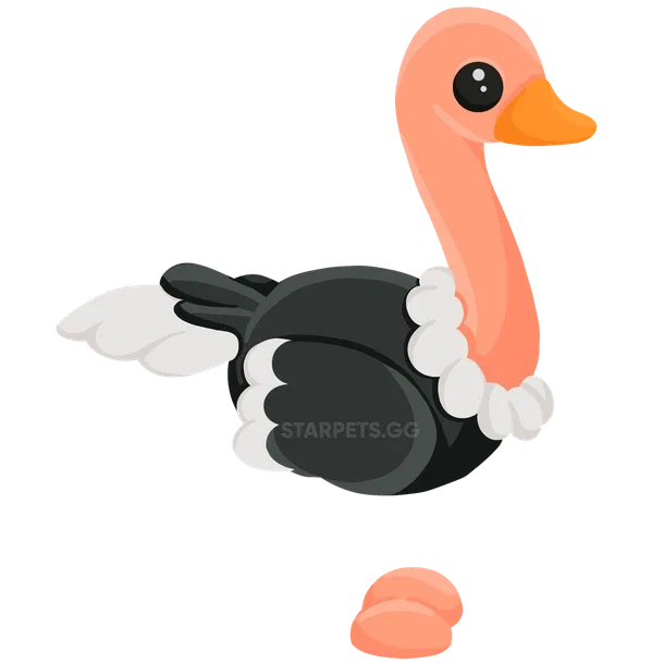 Ostrich — standard appearance