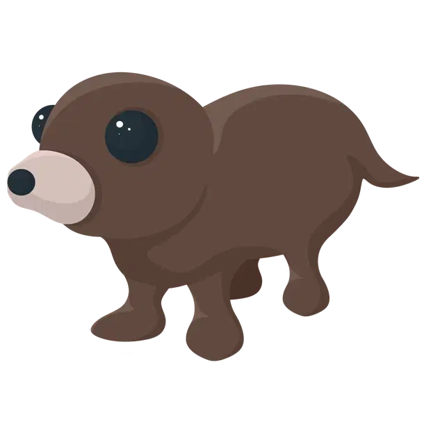 Otter — standard appearance