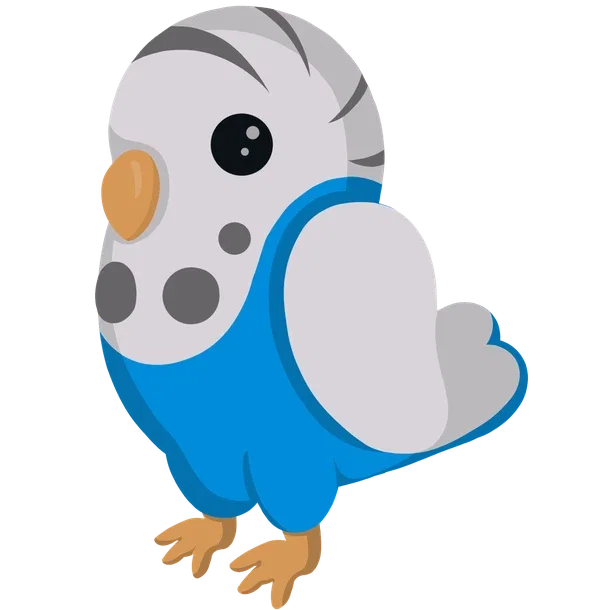 Parakeet — standard appearance