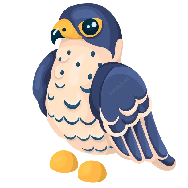 Peregrine Falcon — standard appearance