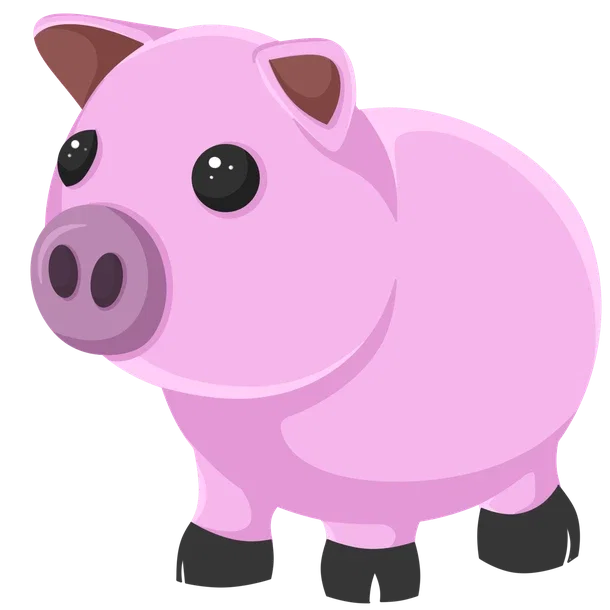 Pig — standard appearance