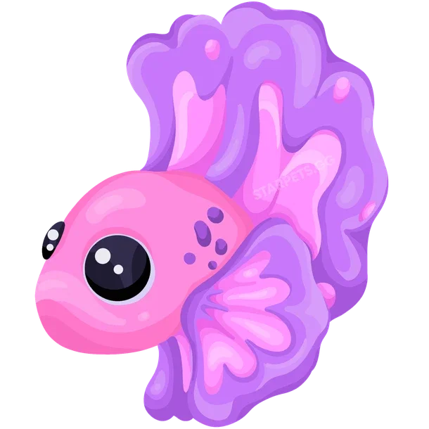 Pink Betta Fish — standard appearance