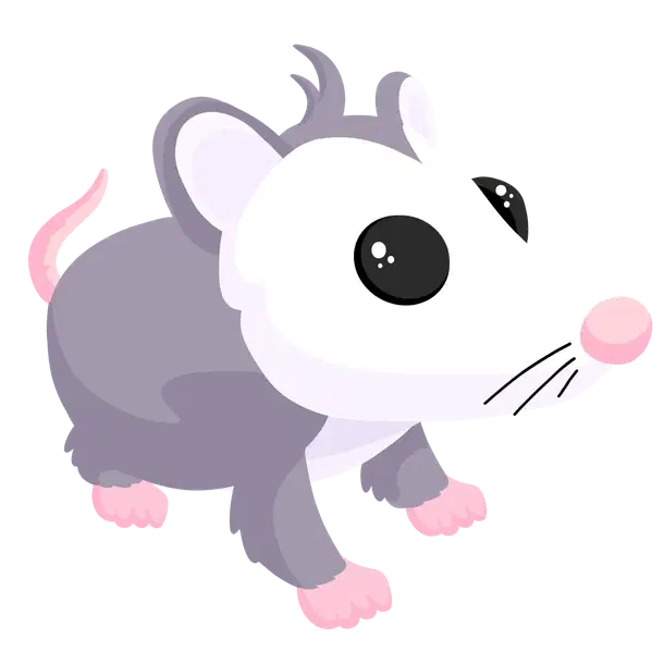 Possum — standard appearance