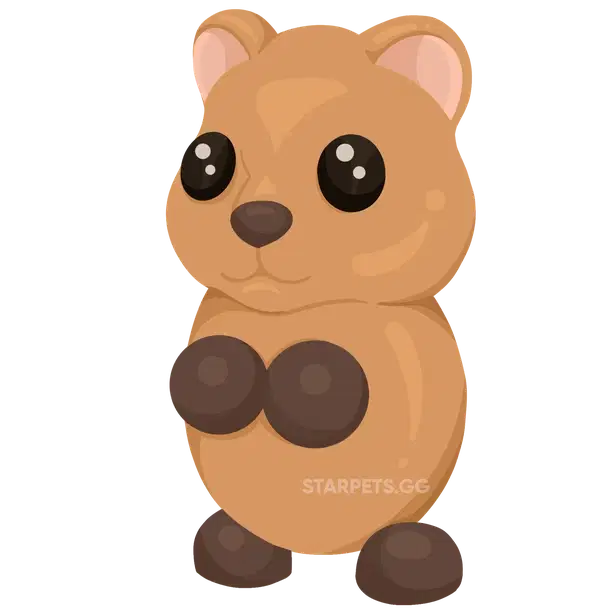 Quokka — standard appearance