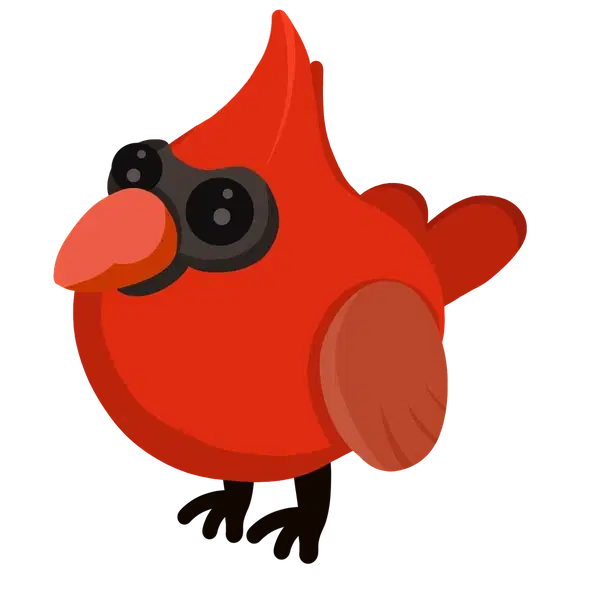 Red Cardinal — standard appearance