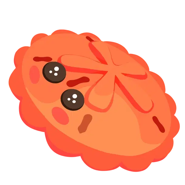 Red Sand Dollar — standard appearance