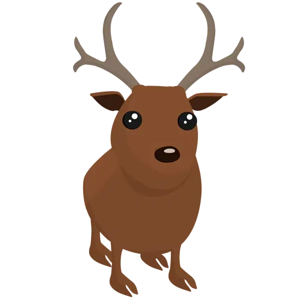 Reindeer — standard appearance