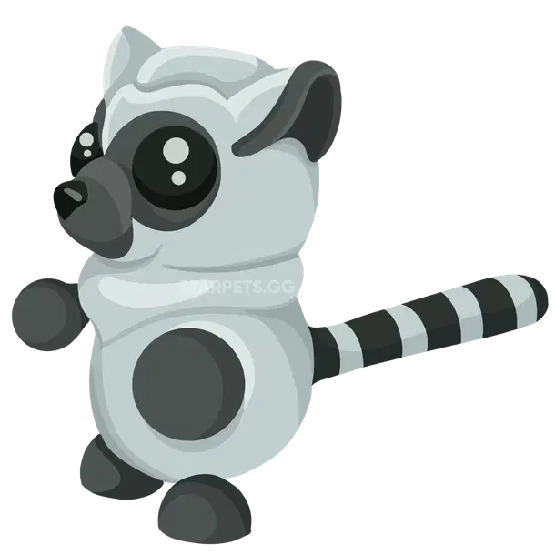 Ring-tailed Lemur — standard appearance