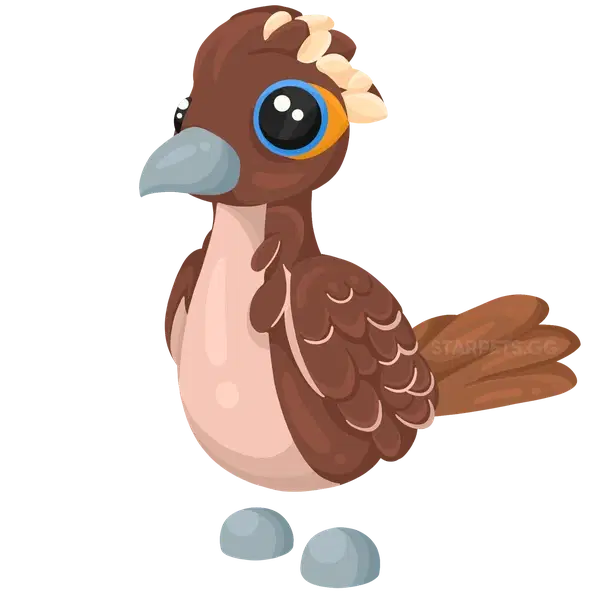 Roadrunner — standard appearance