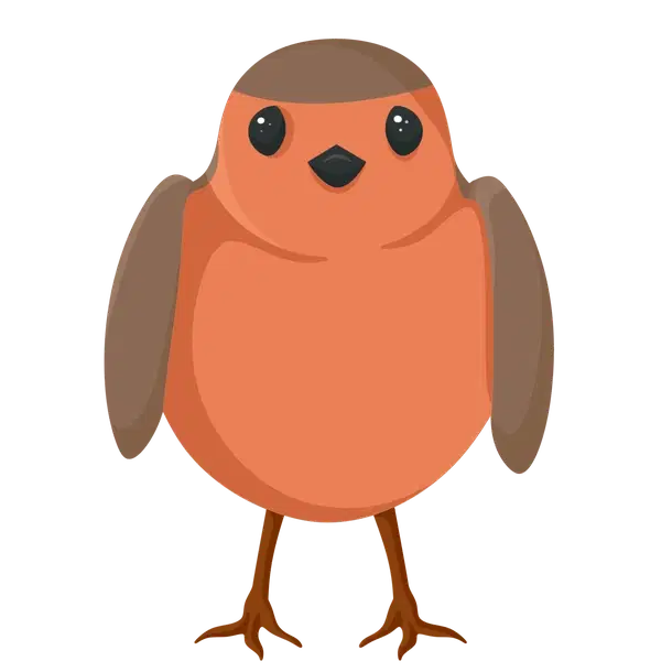 Robin — standard appearance