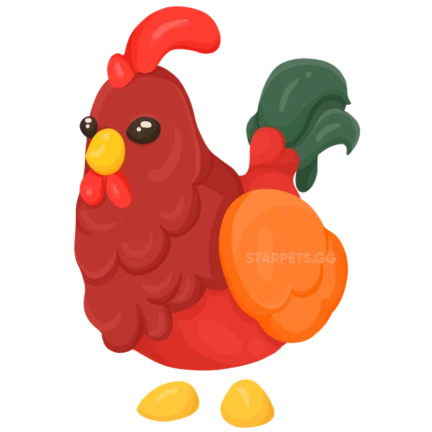 Rooster — standard appearance