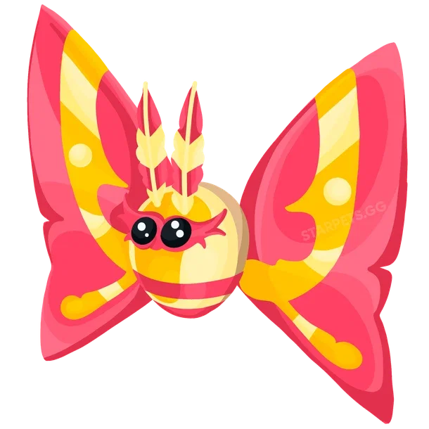 Rosy Maple Moth — standard appearance