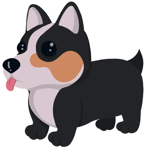 Royal Corgi — standard appearance