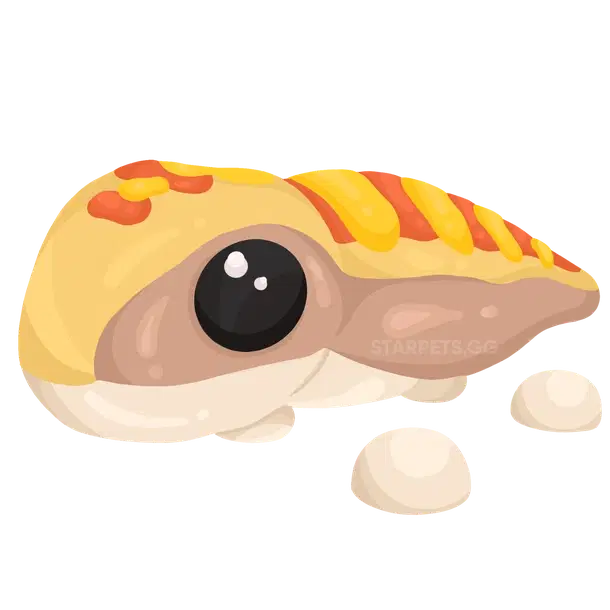 Sandfish — standard appearance