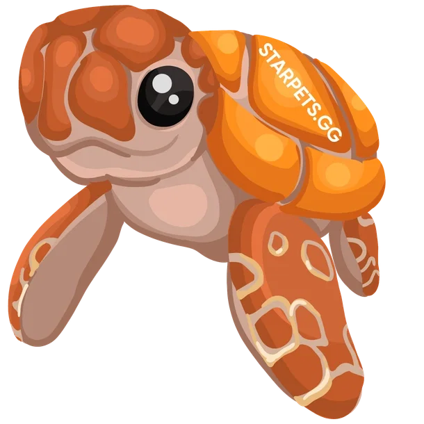 Sea Turtle — standard appearance