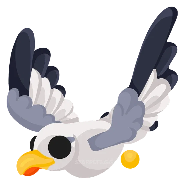 Seagull — standard appearance