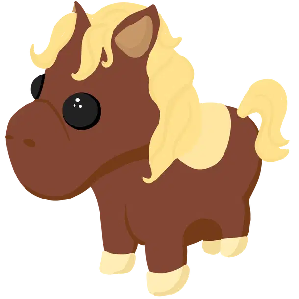 Shetland Pony Dark Brown — standard appearance