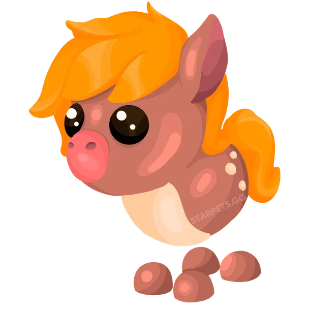 Show Pony — standard appearance