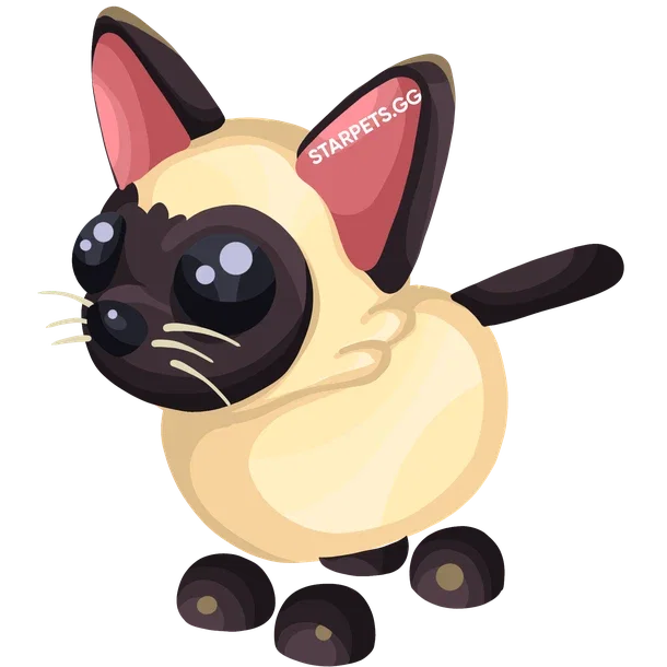 Siamese Cat — standard appearance
