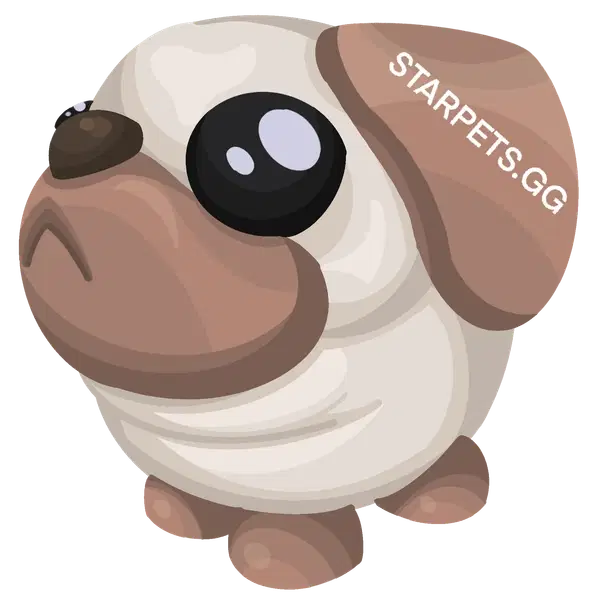 Snowball Pug — standard appearance