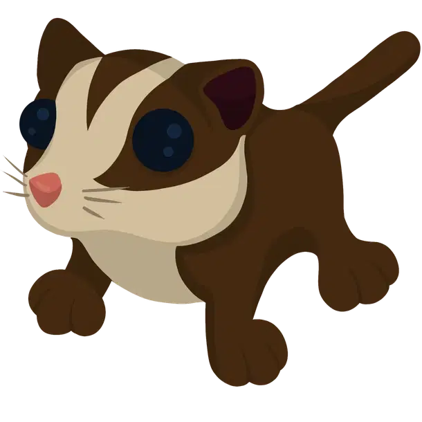 Sugar Glider — standard appearance
