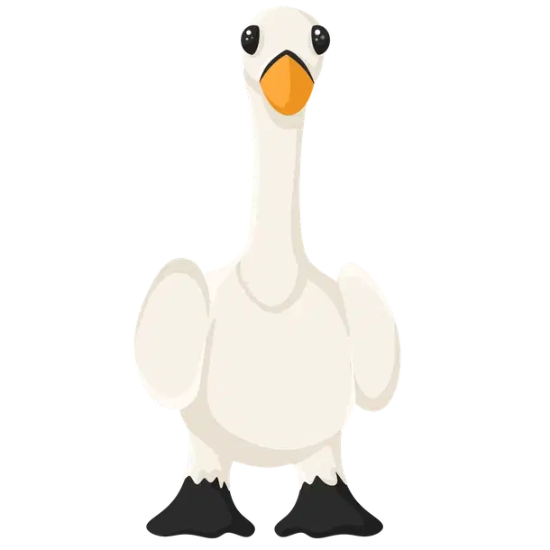 Swan — standard appearance
