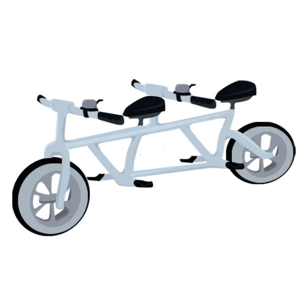 Tandem Bicycle — standard appearance