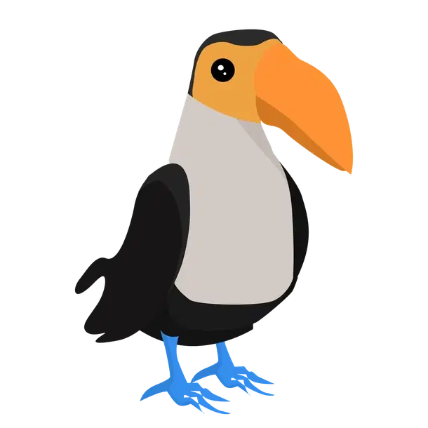 Toucan — standard appearance
