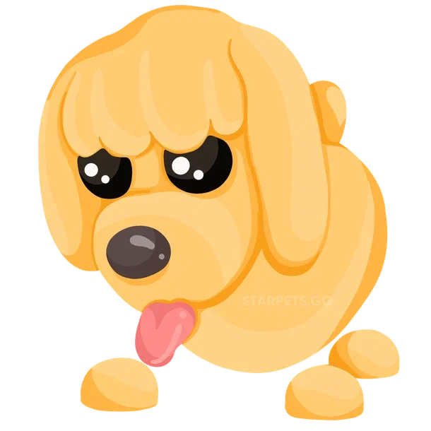 Toy Poodle — standard appearance