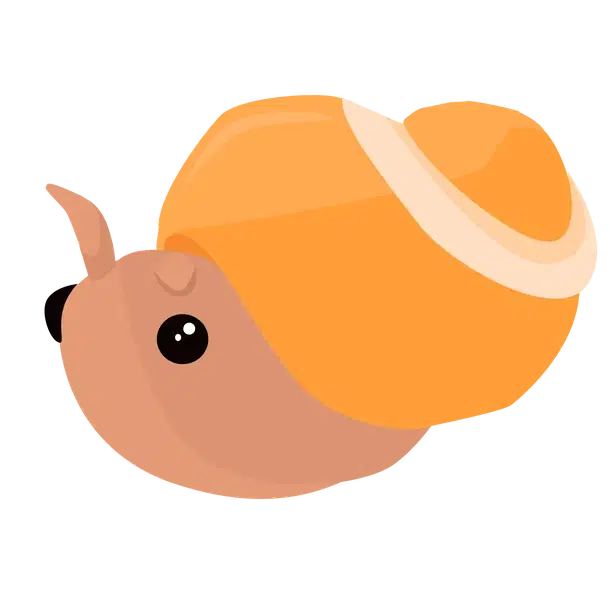 Trapdoor Snail — standard appearance