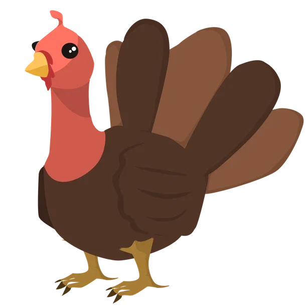 Turkey — standard appearance