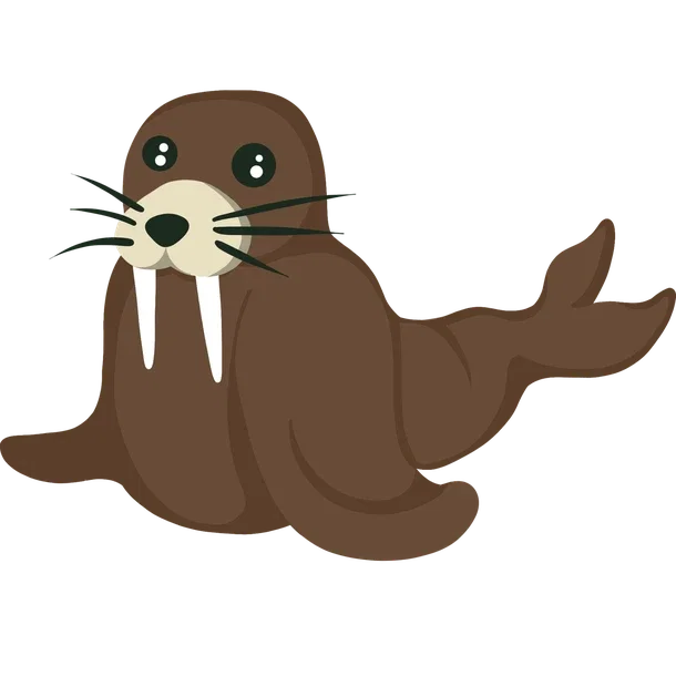 Standard appearance; Neon/Mega appearance is not shown Walrus — standard appearance