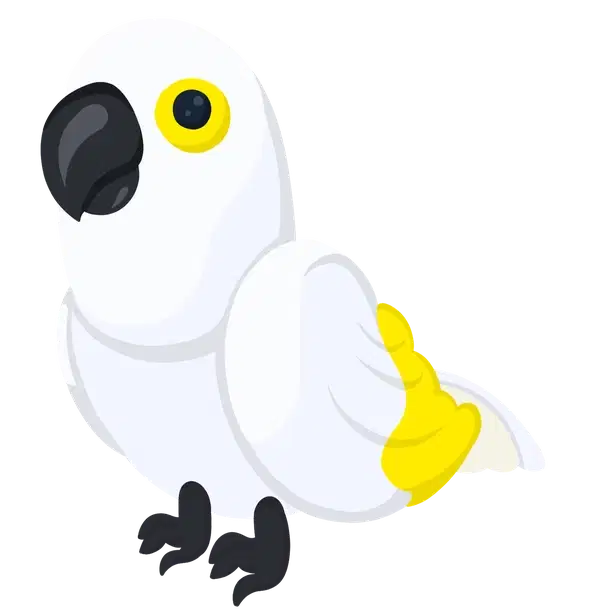 White Amazon — standard appearance