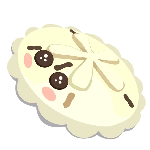 White Sand Dollar — standard appearance