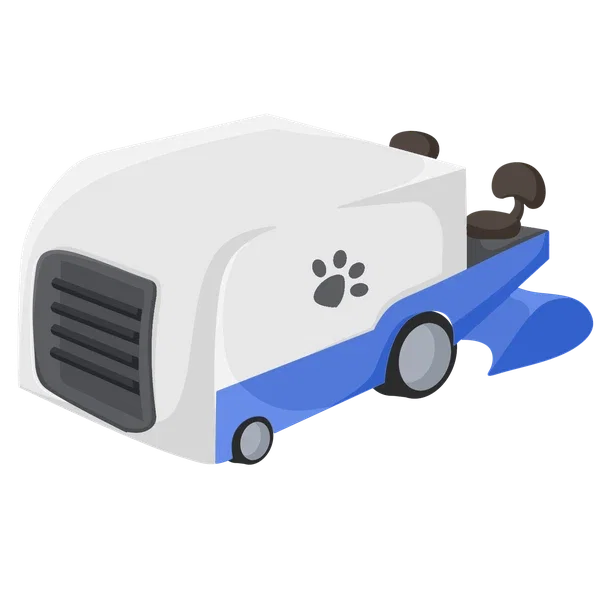 Zamboni — standard appearance